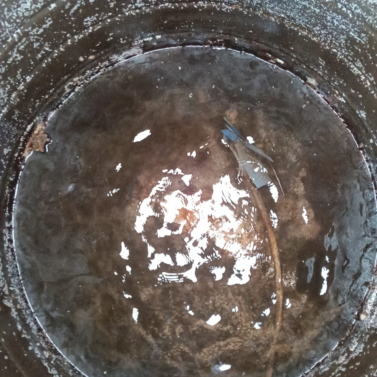 Syntex tank before cleaning