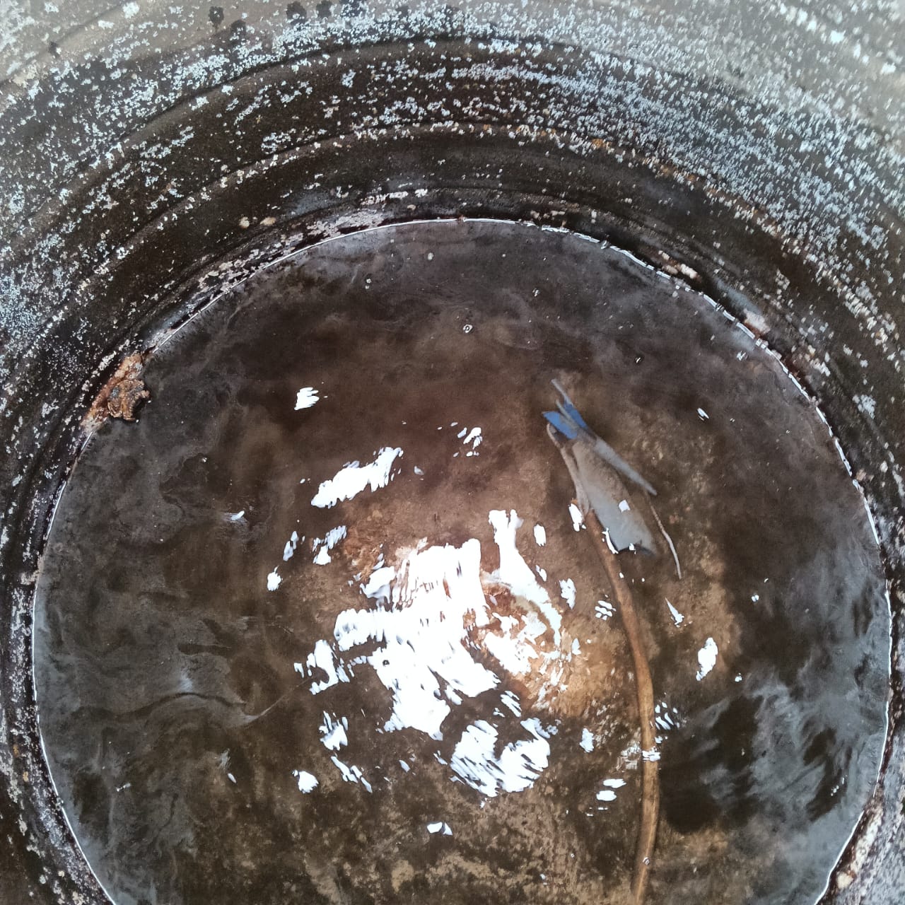 Syntex tank before cleaning