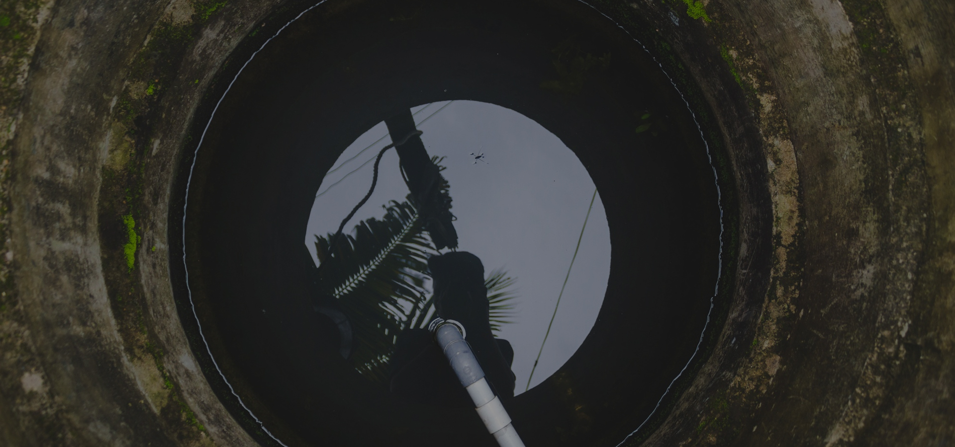 Trusted by Thousands